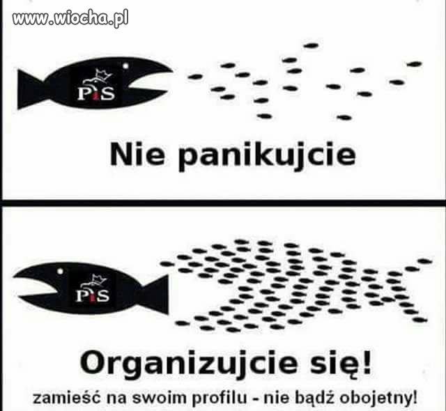 Dlaczego nie potrafimy się zorganizować ?