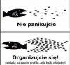 Dlaczego nie potrafimy się zorganizować ?