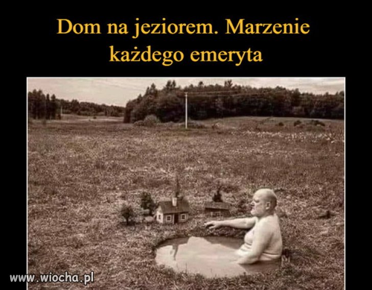 100 %