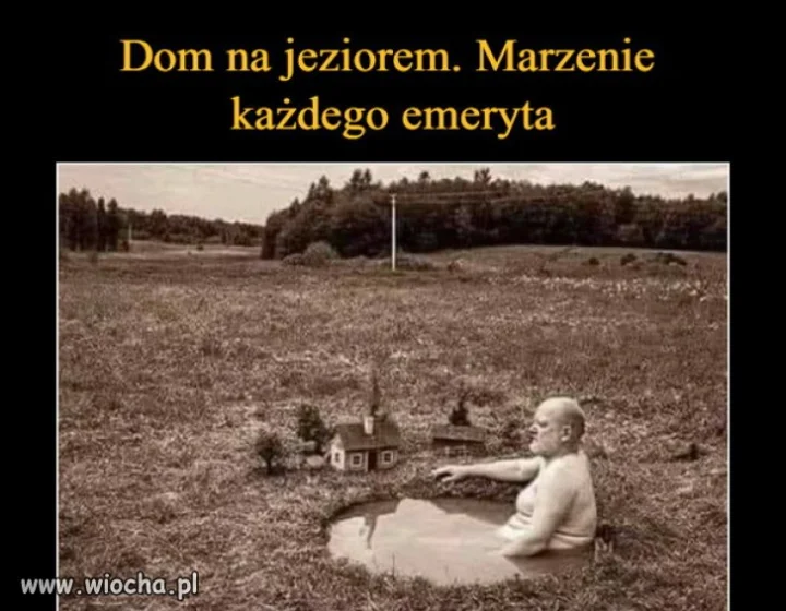 100 %