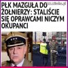 Dokładnie tak.