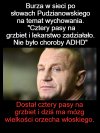 Jeden pas za dużo i klepka odpadła 