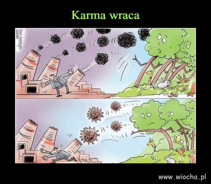 100 %