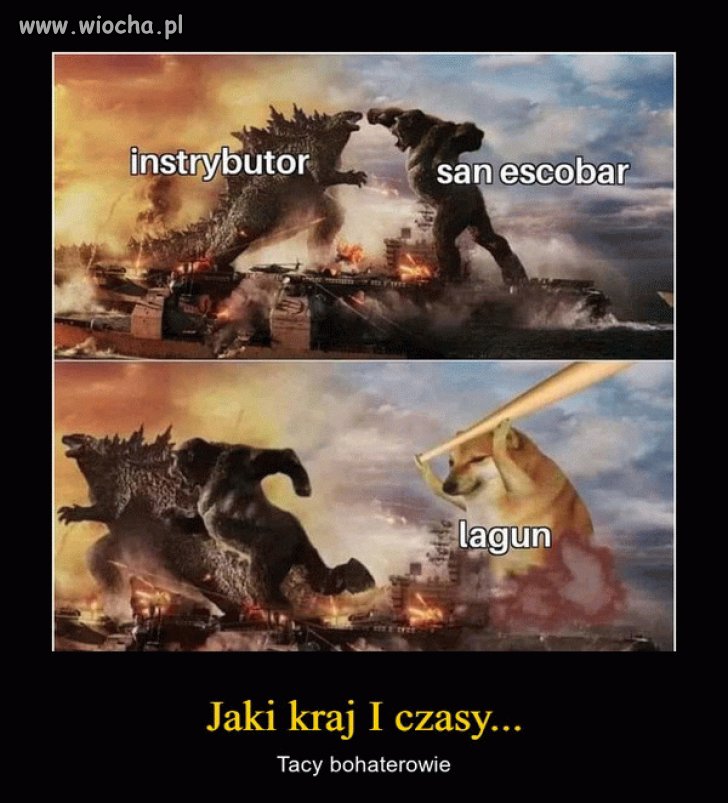 Made in Poland