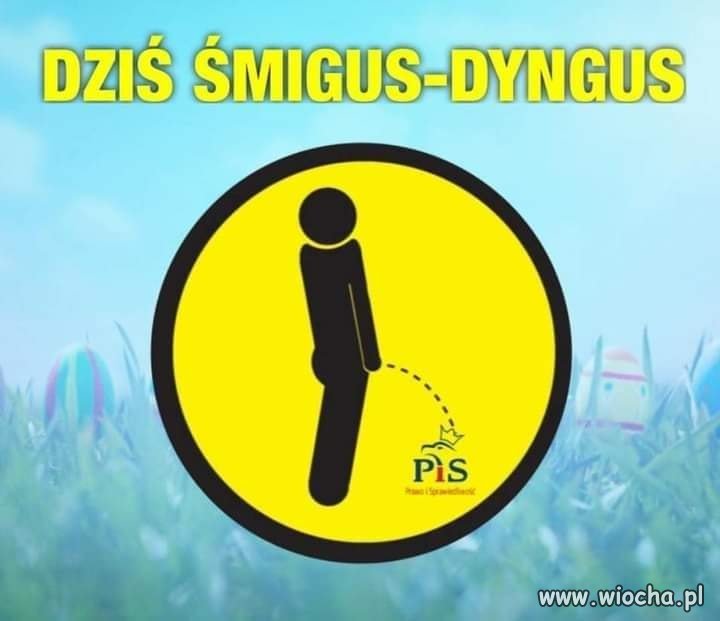 Lejmy ... nie tylko wodę 