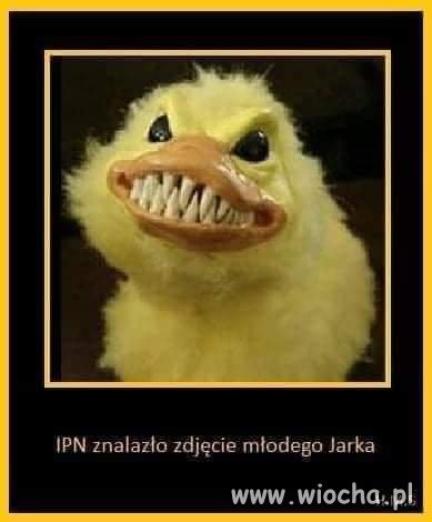 ☆☆☆☆☆ ☆☆☆