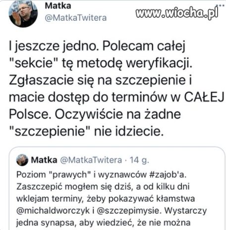 Pato-inteligenci z wykształceniem kalafiora...
