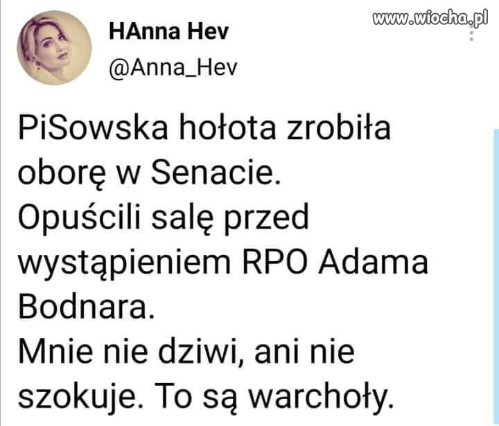 Obora w Senacie