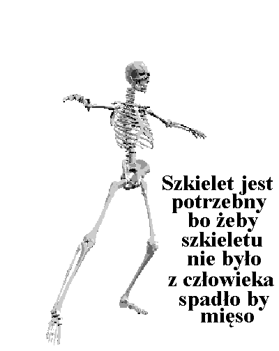 Szkielet