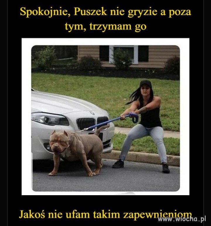 Nie ufam takim