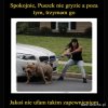 Nie ufam takim