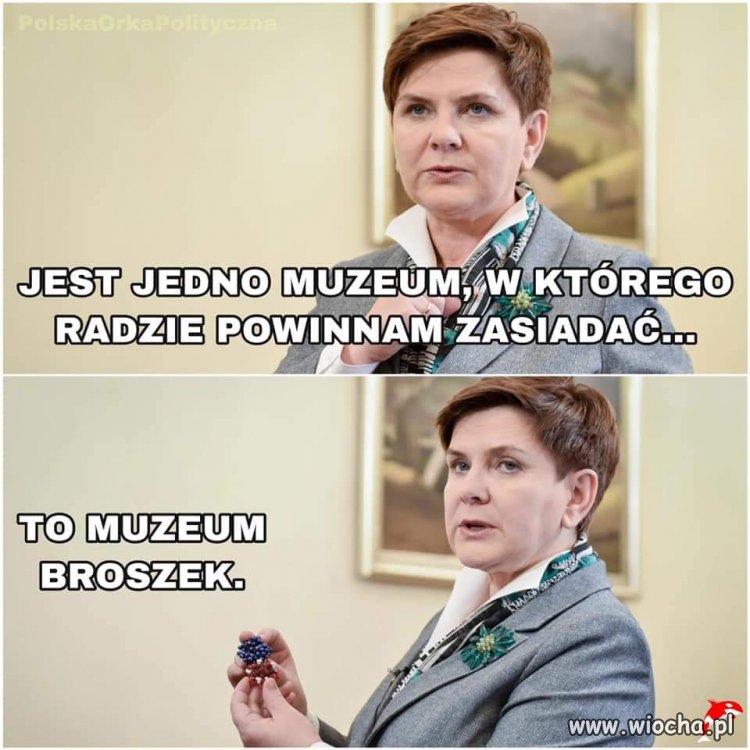 Przed swoją działalnością polityczną, pani premier