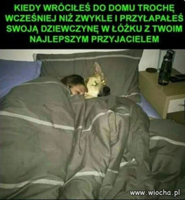 Się narobiło