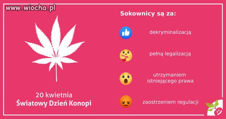 Jestem za dekryminalizacją 