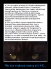 Zaprawdę, powiadam Wam ...