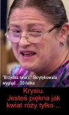 Krytyka 