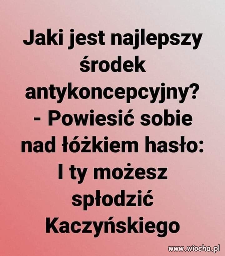 Zdjęcie posranki Krystyny powieszone nad łóżkiem 