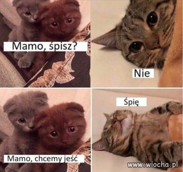 Mamo śpisz ?
