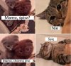Mamo śpisz ?