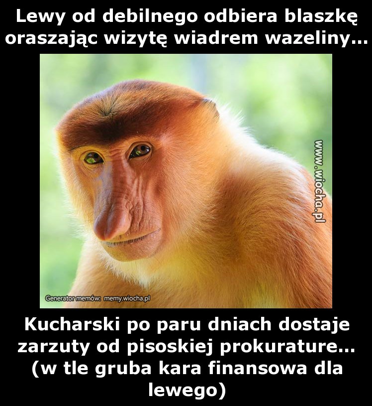 Lewy od debilnego odbiera blaszkę oraszając wizytę