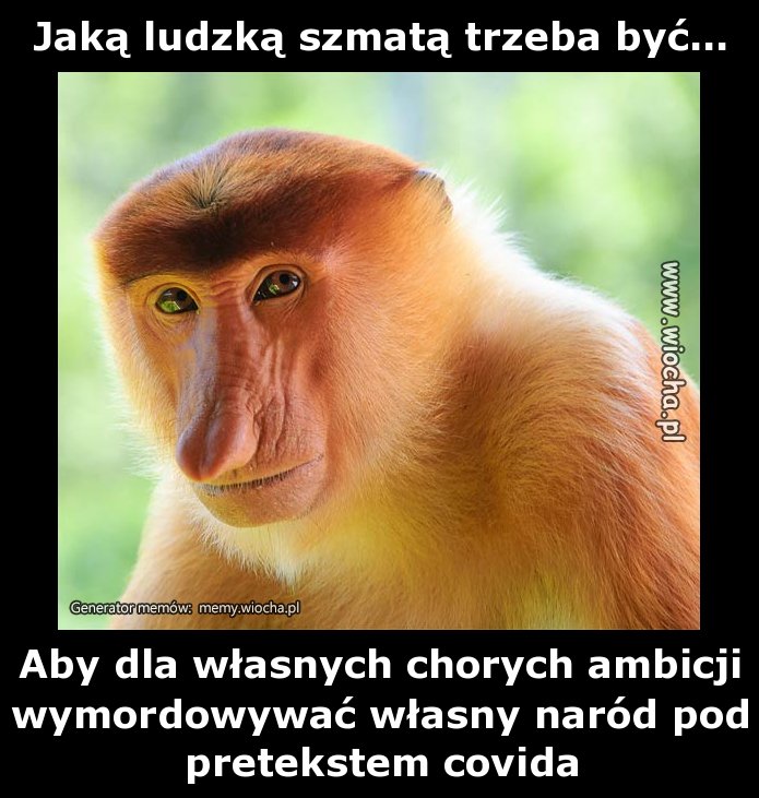 Jaką ludzką szmatą trzeba być...