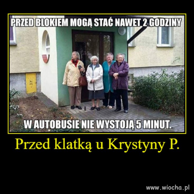 Czekają na Krysię 