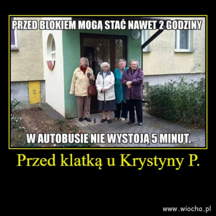 Czekają na Krysię 