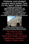Państwo z dykty i drutu 