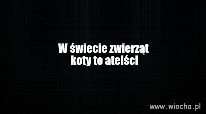 Niezależność potrafi być irytująca