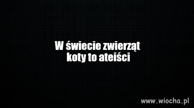 Niezależność potrafi być irytująca