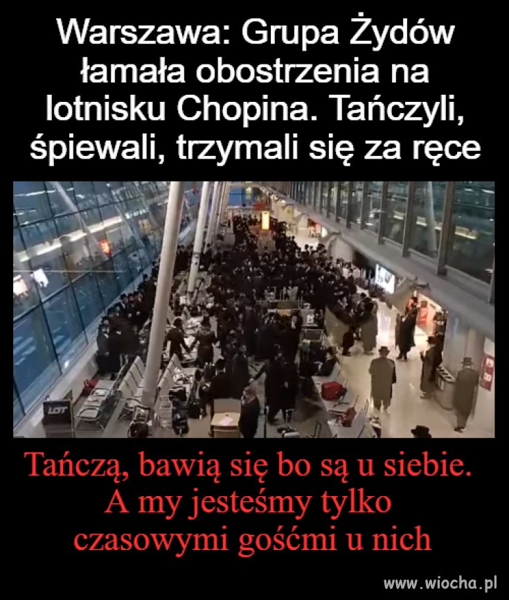 To oni są u siebie