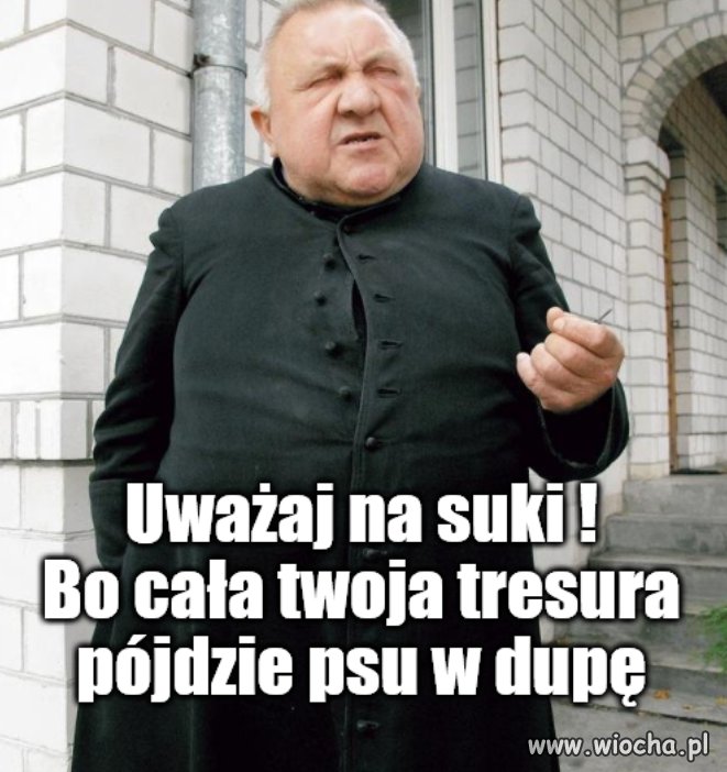 Treserzy 4