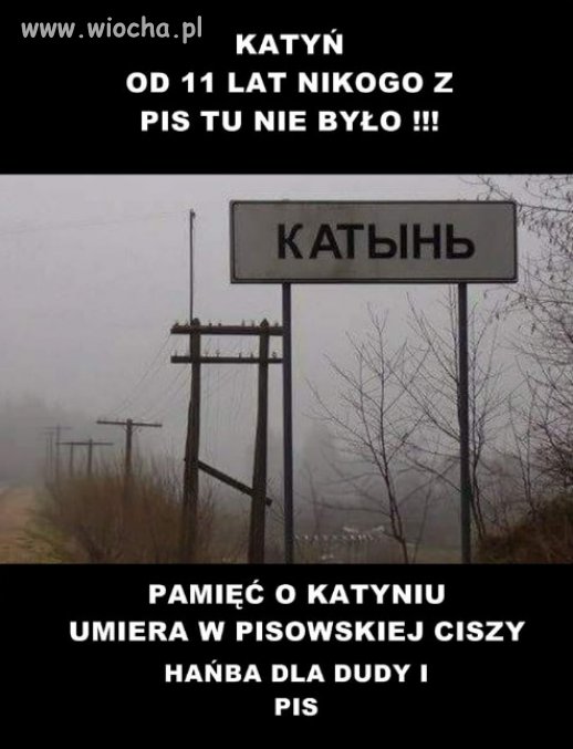 Teraz PiS i Kaczyński zajęci misiaczkami smoleńskimi