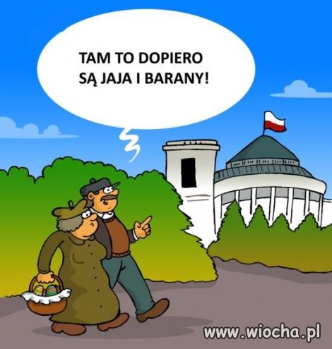Czego nie rozumiesz?