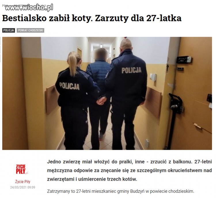 Kolejny do odstrzału