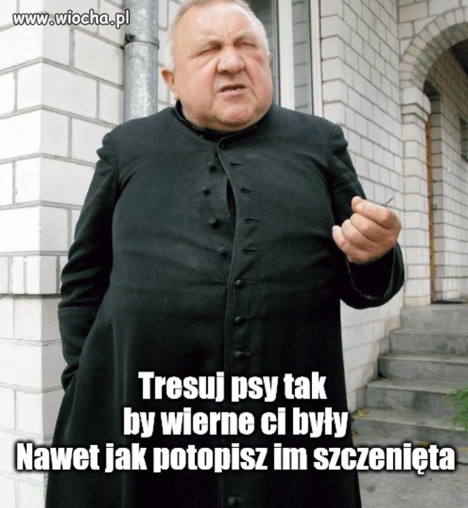 Treserzy 8
