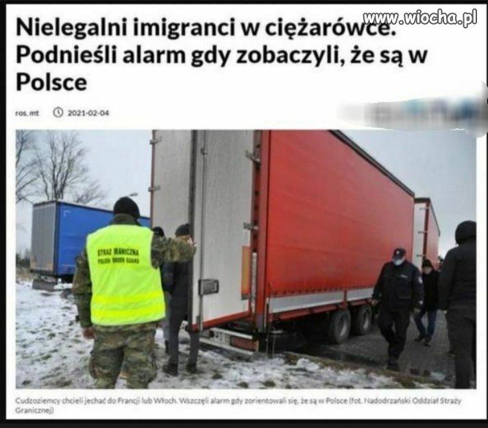 Nielegalni imigranci 
