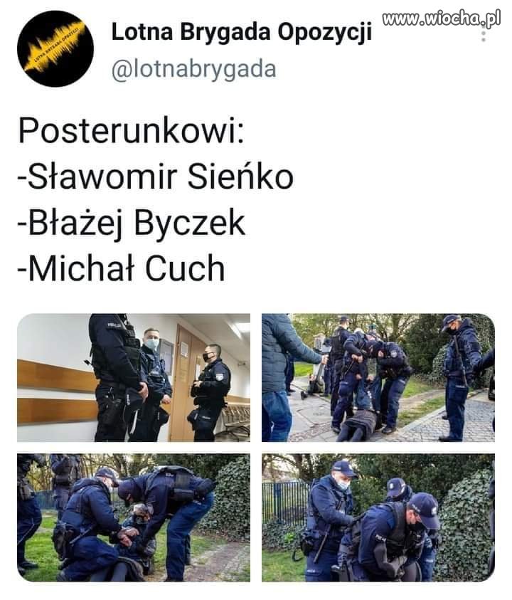Każdy pies
