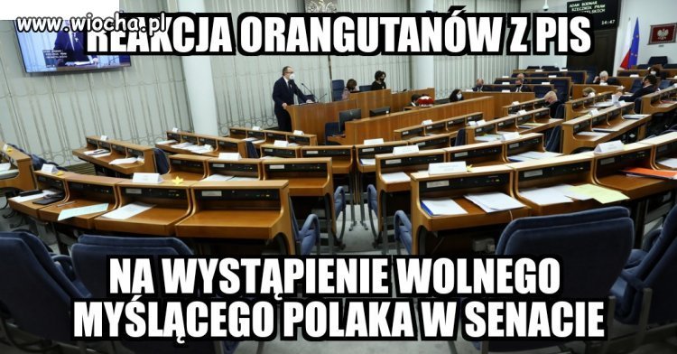 Bydło poszło się nachlać i nażreć...