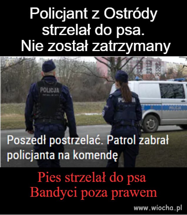 Bandyci w mundurach poza prawem 