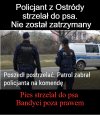 Bandyci w mundurach poza prawem 