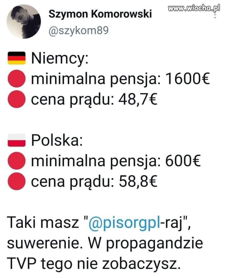 Tego w tvpis