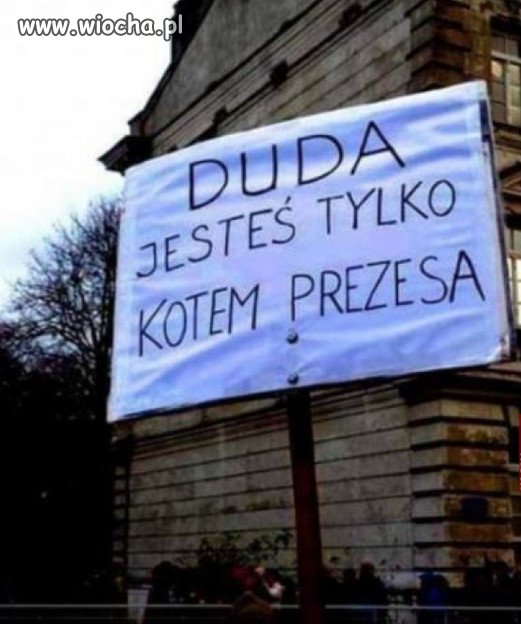 DUDA - Koci Łeb Kaczynskiego...