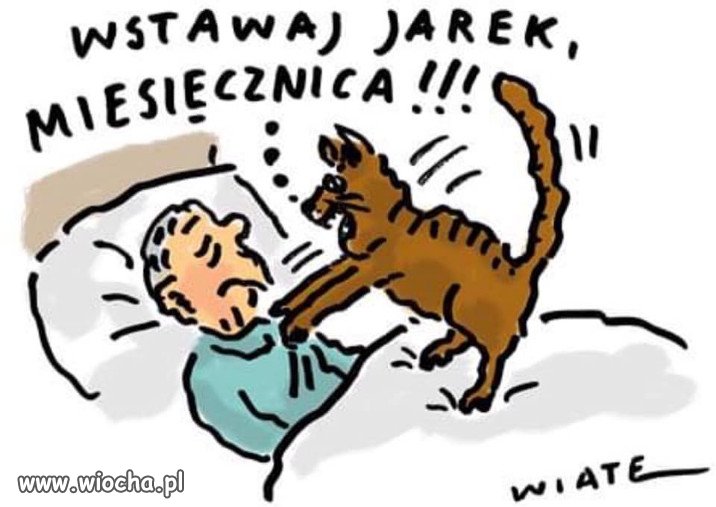 Czas na kolejny cyrk...poprawiania wstegi na wiencu...