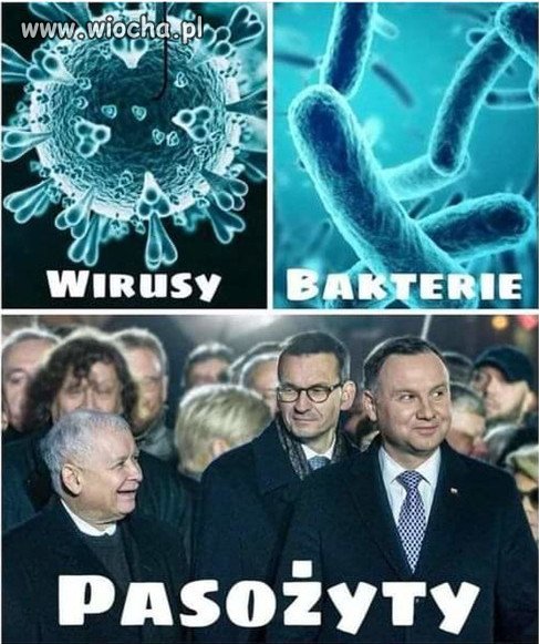 Troche biologii...