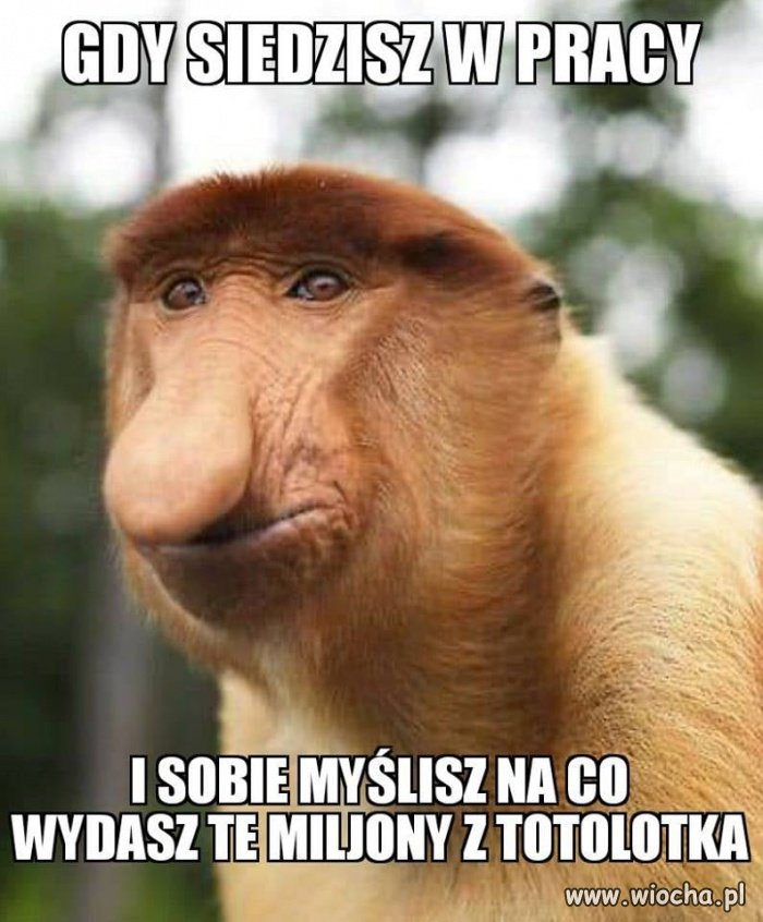 Marzyciel 