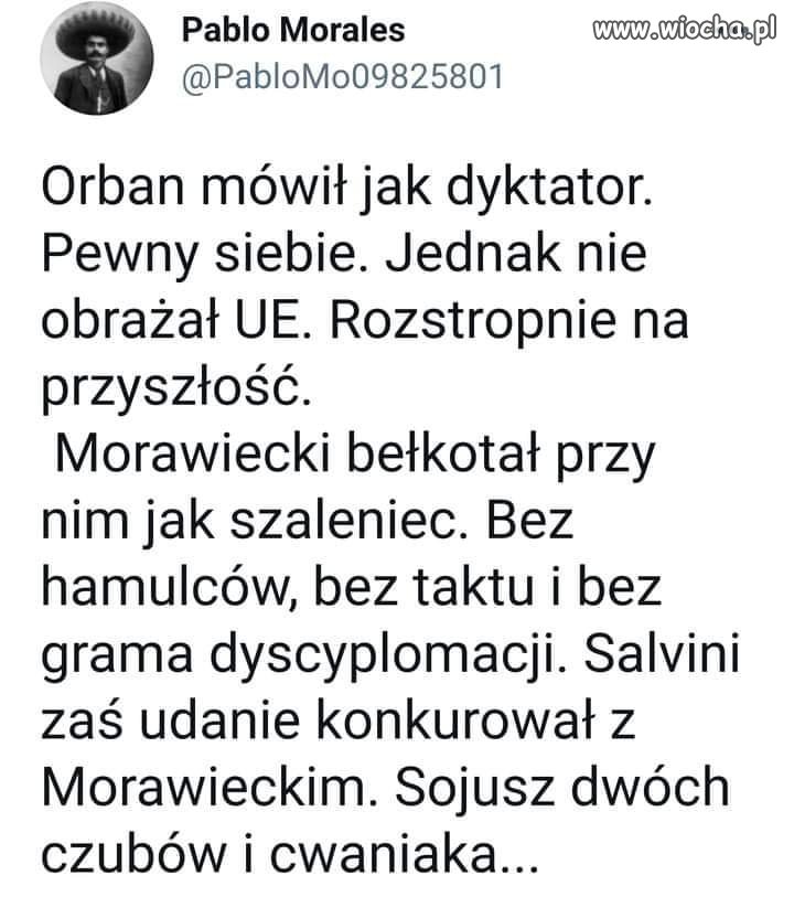 Dwóch czubków 