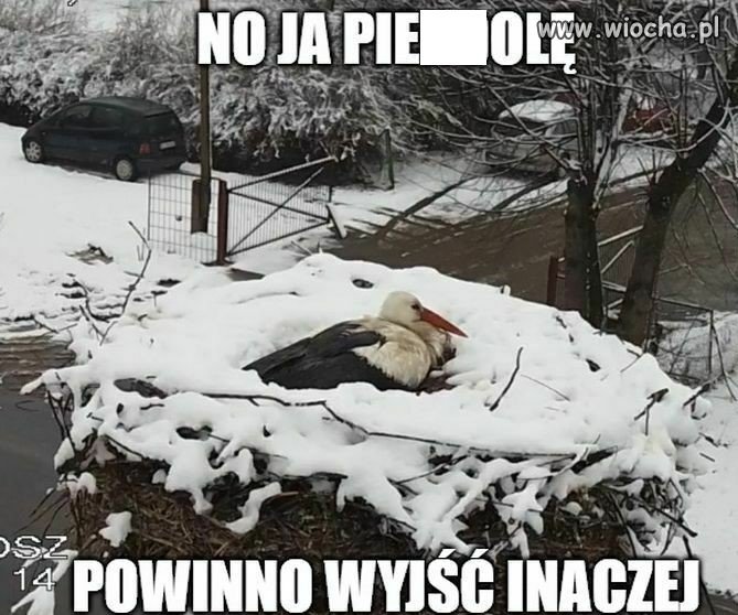 Ej, miała być wiosna