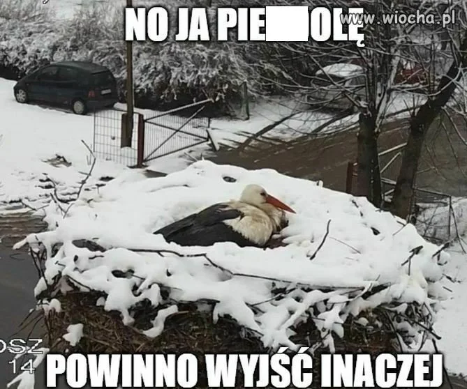 Ej, miała być wiosna