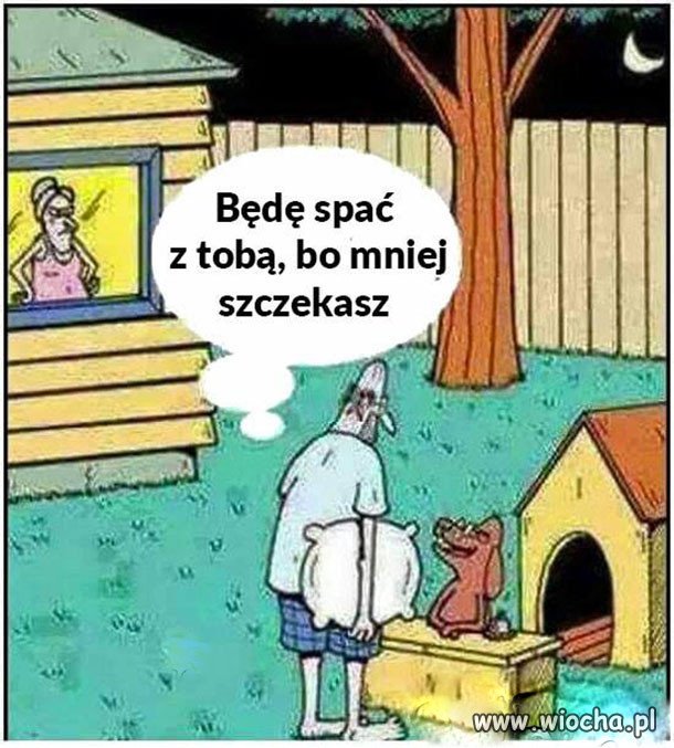 Pies zawsze był przyjacielem 